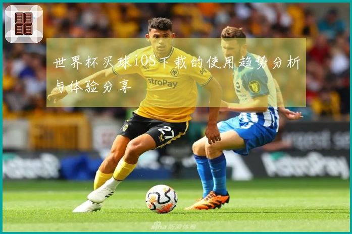 世界杯买球iOS下载的使用趋势分析与体验分享