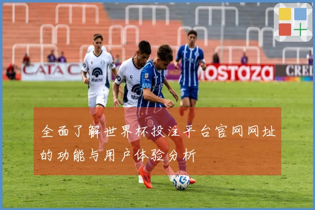 全面了解世界杯投注平台官网网址的功能与用户体验分析